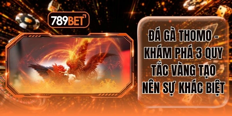 Đá Gà Thomo - Khám Phá 3 Quy Tắc Vàng Tạo Nên Sự Khác Biệt