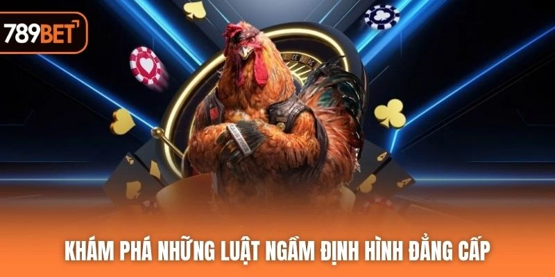 Khám phá những luật ngầm định hình đẳng cấp