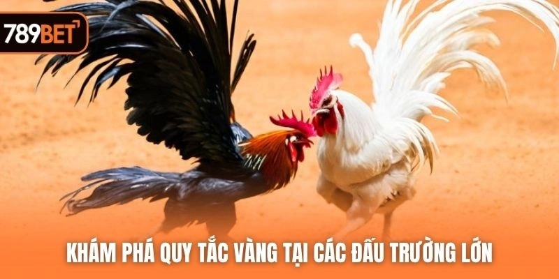 Khám phá quy tắc vàng tại các đấu trường lớn